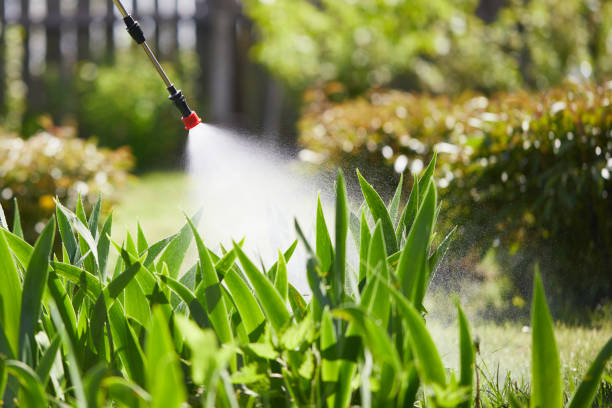 Tamper-Resistant Bait Stations for Rodents in Las Flores