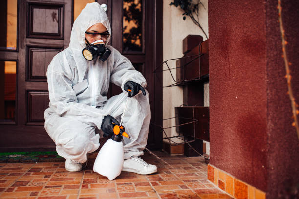 Attic and Crawl Space Rodent Treatment in Las Flores